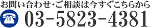 一般社団法人コンブリオへのお電話03-5823-4381